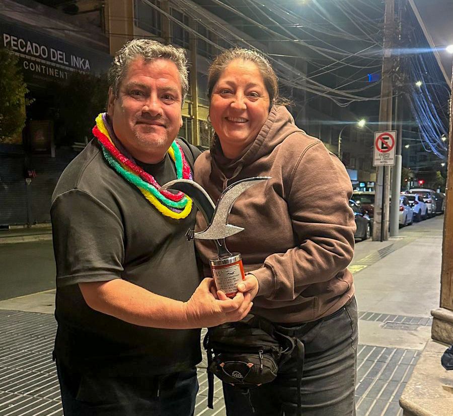 Imagen complementaria 2 - Gaviota de Plata Viña 2026